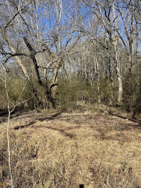1178 N Pomona Rd, Hampton, GA 30228 photo 9