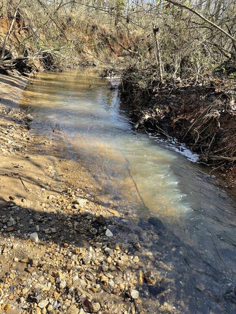 1178 N Pomona Rd, Hampton, GA 30228 photo 3