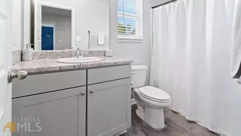 398 Panhandle Pl, Hampton, GA 30228 photo 14