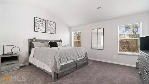 398 Panhandle Pl, Hampton, GA 30228 photo 16
