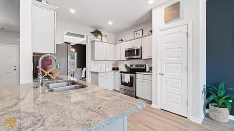 398 Panhandle Pl, Hampton, GA 30228 photo 7