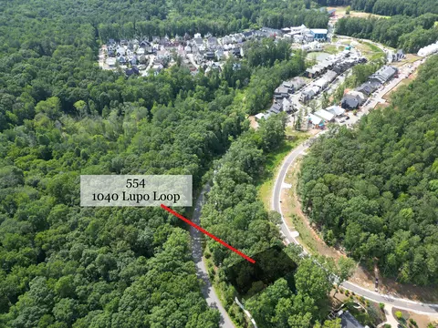 1040 Lupo Loop #554, Chattahoochee Hills, GA 30268
