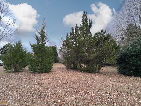 1396 Cedar Dr, Madison, GA 30650 photo 3
