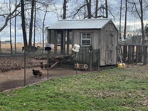 229 Terrell Rd, Elko, GA 31025 photo 6