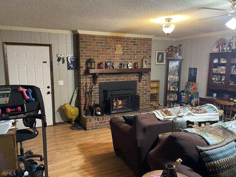 229 Terrell Rd, Elko, GA 31025 photo 4