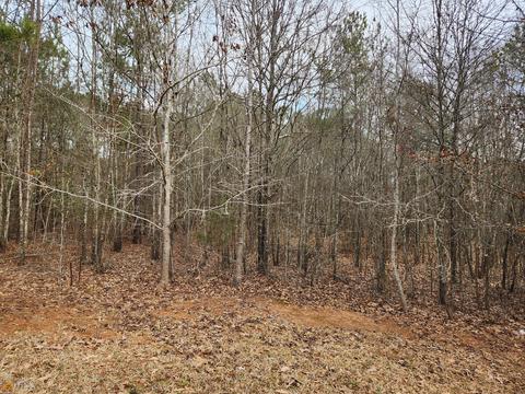 10 Moray Pl, Covington, GA 30014 photo 3