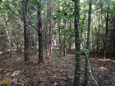 4643 Flatbottom Rd, Ball Ground, GA 30107 photo 7