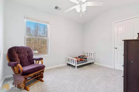 313 Daffodil Dr, Temple, GA 30179 photo 23
