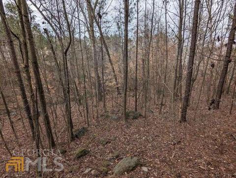 3769 Rolling Pl, Conley, GA 30288 photo 5