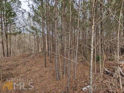 3769 Rolling Pl, Conley, GA 30288 photo 4