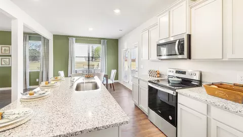 12173 Conrad Cir, Hampton, GA 30228 photo 6