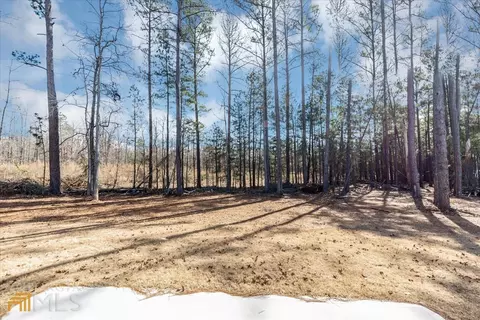 12117 Edgewater Dr, Hampton, GA 30228 photo 66