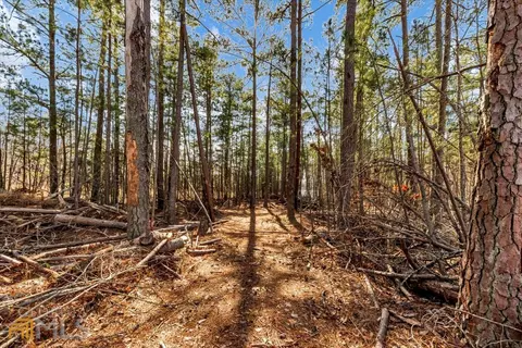12117 Edgewater Dr, Hampton, GA 30228 photo 67