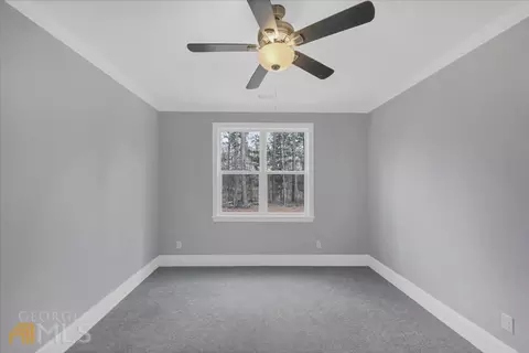 12117 Edgewater Dr, Hampton, GA 30228 photo 29