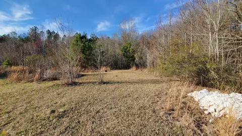 116 Shepard Rd, Bartow, GA 30413 photo 11