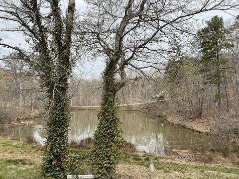 79 Thrasher Dr, Toccoa, GA 30577 photo 20