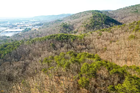 85 Acres On N Dug Gap Rd, Dalton, GA 30722