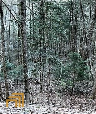 3 53 Acres Honey Do Ln  