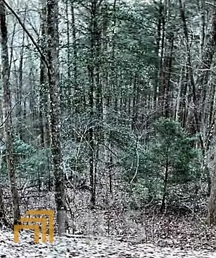 3 53 Acres Honey Do Ln, Blue Ridge, GA 30513