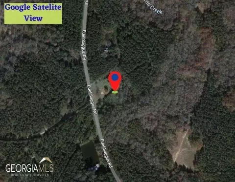 1446 Euel Saggus Rd, Tignall, GA 30668 photo 10