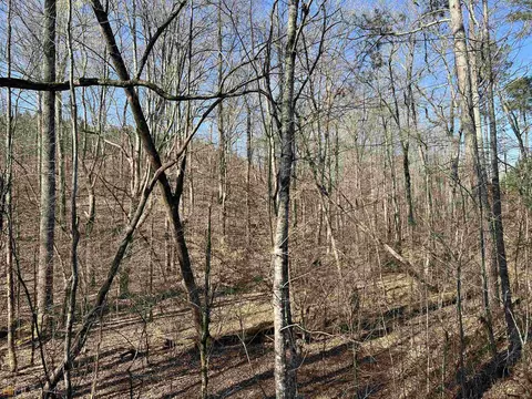 0 Monroe Mill Rd, Buchanan, GA 30113 photo 11