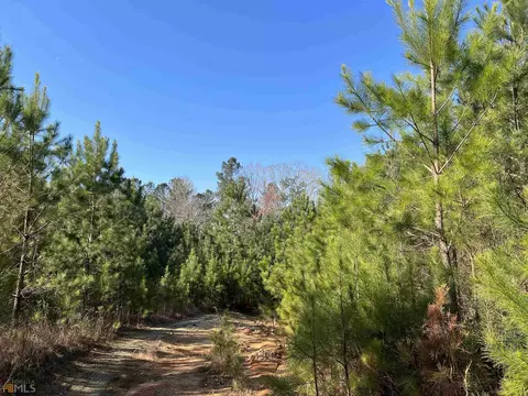 0 Monroe Mill Rd, Buchanan, GA 30113 photo 10