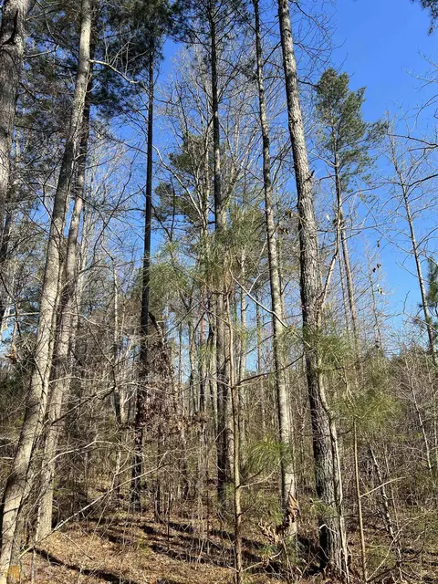 0 Monroe Mill Rd, Buchanan, GA 30113 photo 9