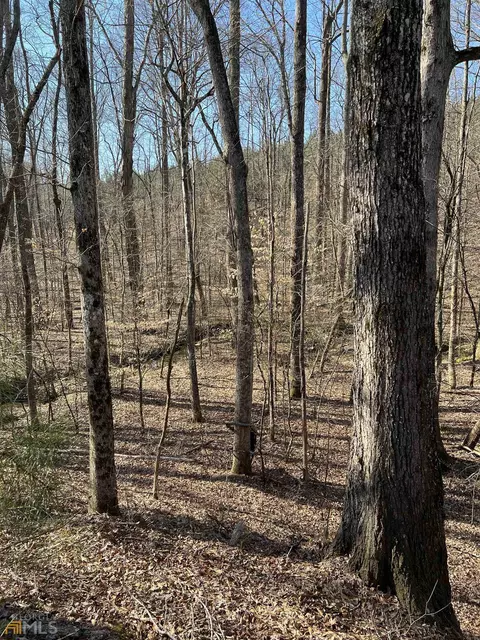 0 Monroe Mill Rd, Buchanan, GA 30113 photo 12