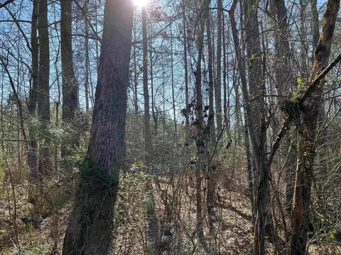 0 Monroe Mill Rd, Buchanan, GA 30113 photo 8