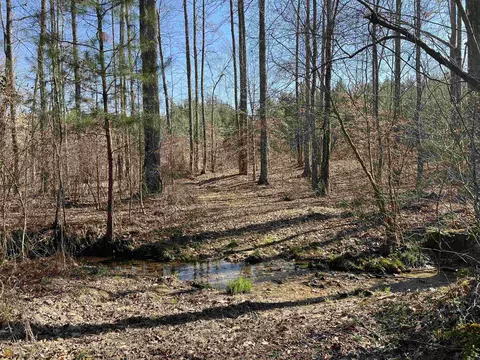 0 Monroe Mill Rd, Buchanan, GA 30113 photo 15
