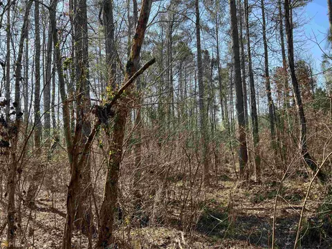 0 Monroe Mill Rd, Buchanan, GA 30113 photo 7