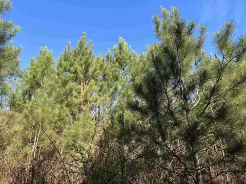 0 Monroe Mill Rd, Buchanan, GA 30113 photo 3