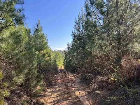 0 Monroe Mill Rd, Buchanan, GA 30113 photo 2