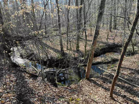 0 Monroe Mill Rd, Buchanan, GA 30113 photo 14