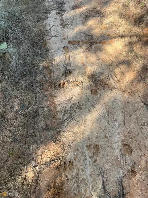 0 Monroe Mill Rd, Buchanan, GA 30113 photo 18