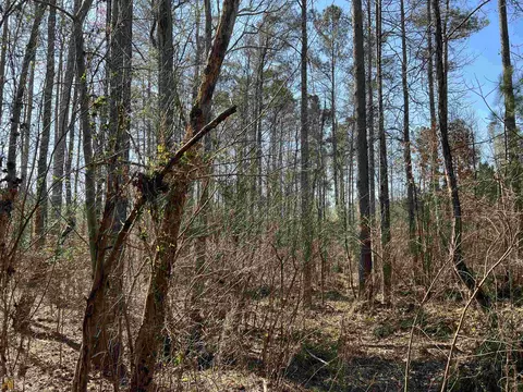 0 Monroe Mill Rd, Buchanan, GA 30113 photo 6