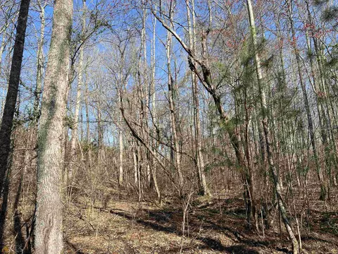 0 Monroe Mill Rd, Buchanan, GA 30113 photo 16