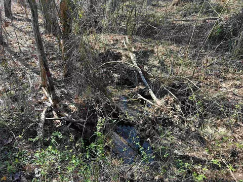 0 Monroe Mill Rd, Buchanan, GA 30113 photo 5