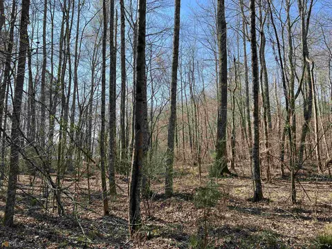 0 Monroe Mill Rd, Buchanan, GA 30113 photo 17