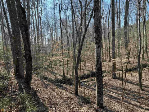 0 Monroe Mill Rd, Buchanan, GA 30113 photo 13
