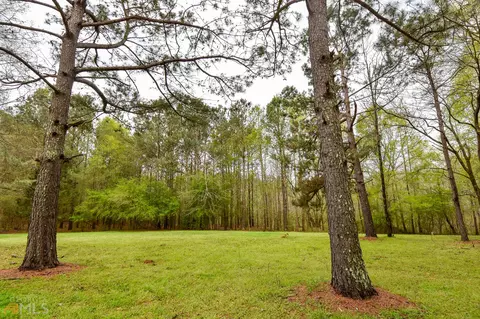 1606 E Milner Rd, Zebulon, GA 30295 photo 52