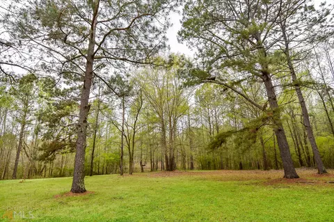 1606 E Milner Rd, Zebulon, GA 30295 photo 51