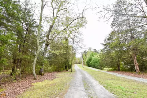 1606 E Milner Rd, Zebulon, GA 30295 photo 3