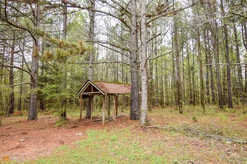 1606 E Milner Rd, Zebulon, GA 30295 photo 48
