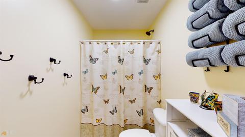 114 Thorne Hedge Way, Hampton, GA 30228 photo 32