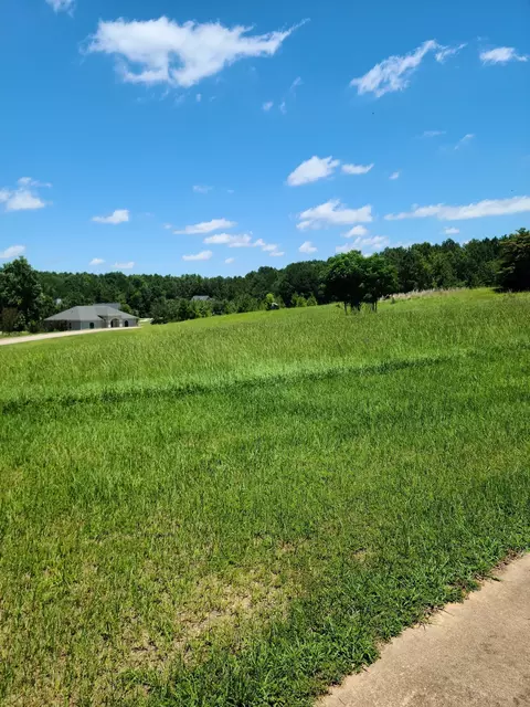 0 Clearwater Dr, White Plains, GA 30678