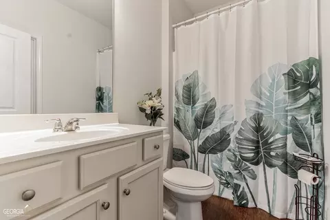 384 Hamilton Pointe Dr, Mcdonough, GA 30253 photo 7