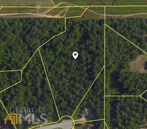 329 Cascade Ct, Hampton, GA 30228 photo 1