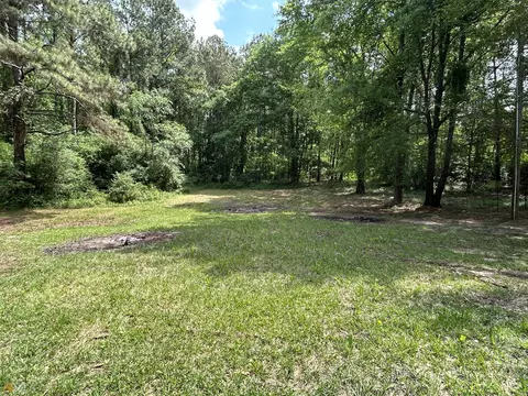 407 Scott Rd, Elko, GA 31025 photo 33