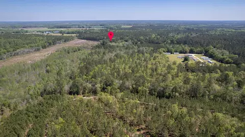 121 Nevils Daisy Rd, Register, GA 30452 photo 42
